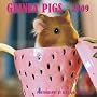 Guinea Pigs 2009 Square Wall Calendar