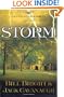 Storm: 1798-1800 (The Great Awakenings Series #3)