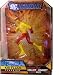 Search : DC Universe Kid Flash Figure