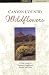 book cover unavailable