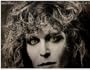 LAUREN WOOD: CAT TRICK (POP LP VINYL, 1981)