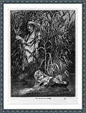 Historic Print (S): [Moses being found in the bullrushes; 2 very similar engravings: the find-ing of Mo-ses