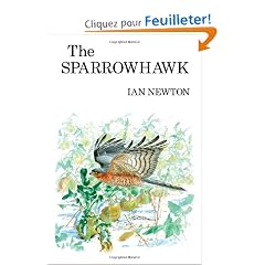 The Sparrowhawk