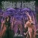 Beste Metal(+4rock-lps) Alben
