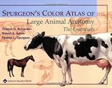 Spurgeon's Color Atlas of Large Animal Anatomy: The Essentials