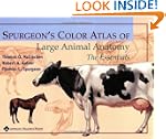 Spurgeon's Color Atlas of Large Anima...