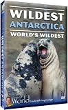 Wildest Antarctica