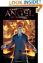 Angel: After The Fall Volume 2 - First Night HC: After the Fall - First Night v. 2 (Angel (IDW Hardcover))