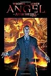 Angel: After the Fall Vol. 2