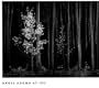 Ansel Adams at 100