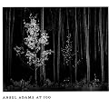 Ansel Adams at 100