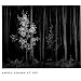 Ansel Adams at 100
