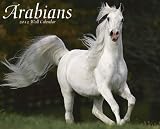 Arabians 2012 Calendar