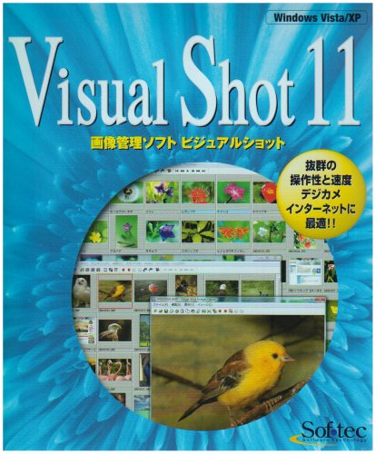 Visual Shot 11