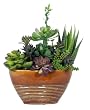 Artificial Succulent Garden in Ridged Oval Ceramic