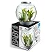 Biorb Baby Aquarium Black 15 Litre
