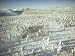Reindeer Stampede Past Larch Trees in the Siberian Subarctic Taiga Photographic Poste...