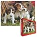 Jigsaw Puzzle , Puppies, 1000 pieces, 126.5 in X 19.25 in. Ships same day.