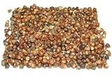 GRAINS OF PARADISE 25gms ORGANIC/WICCA/HERB/SPELL/PAGAN