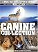 Search : Canine Collection