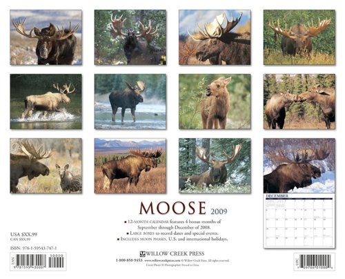 Moose 2009 Calendar under General in The Books Store