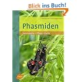 Phasmiden: Lebensweise, Pflege, Zucht