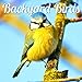 2017 Backyard Birds Mini Calendar