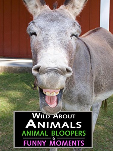 Animal Bloopers and Funny Moments