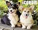 Amazon price tracker, Amazon price history charts, Just Corgis 2012 Calendar (Just (Willow Creek))