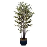 Laura Ashley  8′ BAMBOO TREE