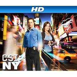 CSI: NY, Season 08 [HD]