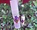 MYREJUVEDERM - Natural Healing Skin Care Lotion
