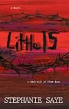 Little 15: A dark tale of first love