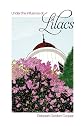 Under the Influence of Lilacs