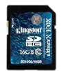 Kingston SD10G2/16GB Class 10 SDHC Secure Digital 16384 MB