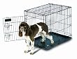 Petmate 21031 Pet Home Training Wire Kennel, Black, Medium