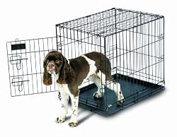 Petmate 21031 Pet Home Training Wire Kennel, Black, Medium