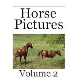Horse Pictures - Volume 2