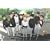 ���������U�肩�Ԃ��� Vol.9�y�ŏI���z [DVD]
