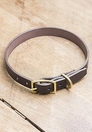 THRUX LAWRENCE - Waterproof Horween Leather Dog Collar - Dark Brown with Solid Brass - Xlarge