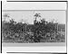 Battle-field of Gettysburg - Union breast works on Culp's Hill, temporarily taken by ...
