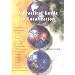 A Practical Guide to Localization (Language International World Directory, 4)