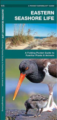 eastern seashore life a folding pocket guide to familiar plants  animals pocket naturalist guide series
