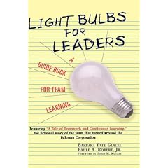 Light Bulbs for Leaders: A Guide Book for Team Learning