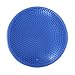 13 Inch Balance Disc / Exercise Disc / Balance Training Stability Disk