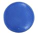 Premium Balance Disc