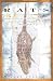 Rats: Observations on the History & Habitat of the City&rsquo;s Most Unwanted Inhabitants (Alex Awards (Awards))