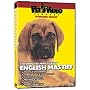 ENGLISH MASTIFF DVD! + Dog & Puppy Training Bonus