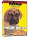 shih tzu - ENGLISH MASTIFF DVD! + Dog & Puppy Training Bonus
