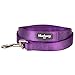 Blueberry Pet Essentials Dark Orchid Dog Leash for Small -5' * 5/8